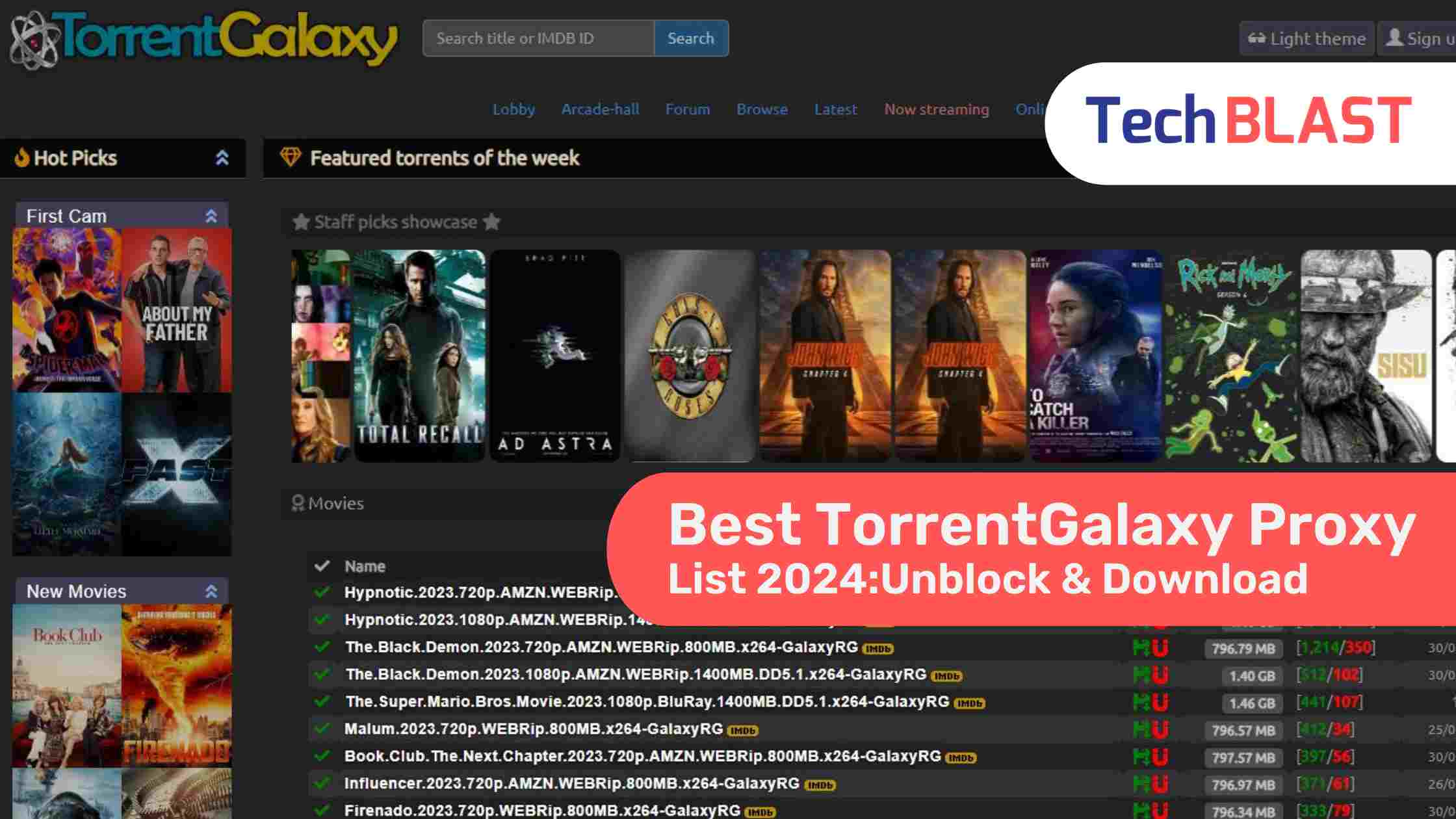 torrentgalaxy-proxy